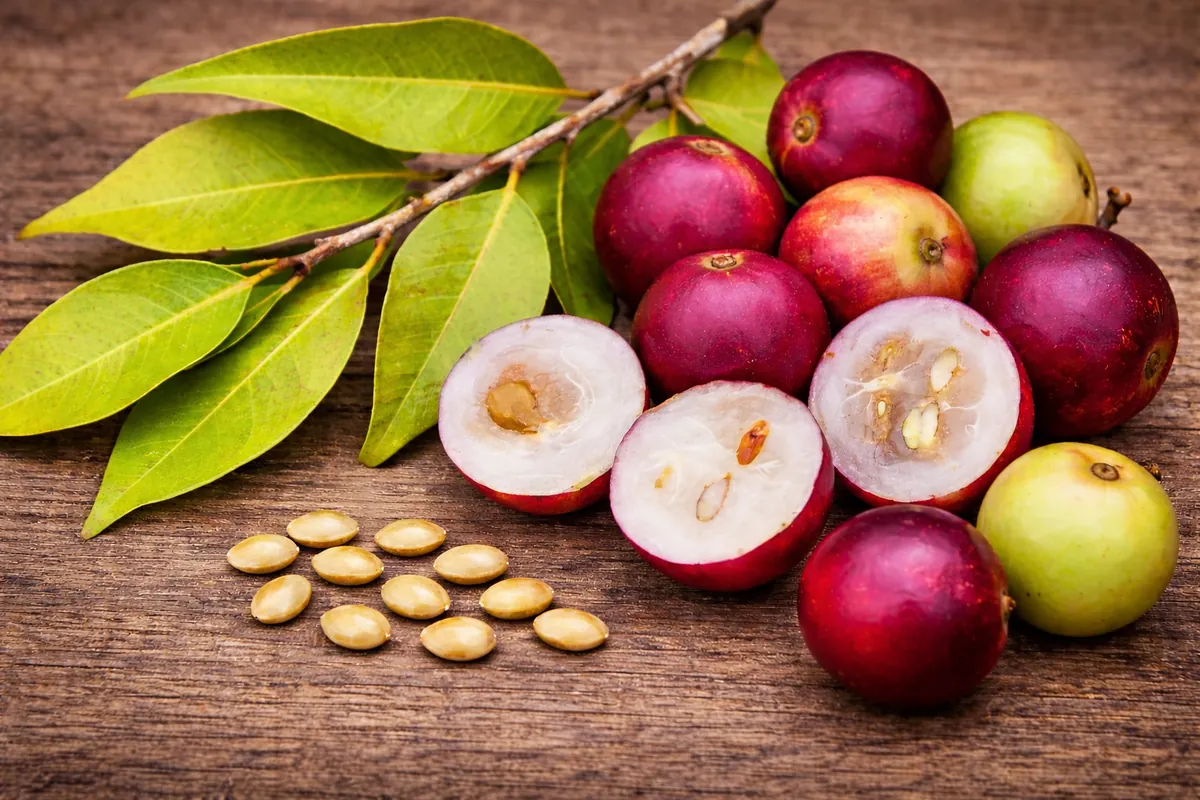 Whole Camu Camu fruit showing peel, pulp, and seeds